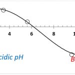 布魯克海文儀器公司自動滴定儀 BI-ZTU 用于 pH 值對 Zeta 電位的影響-美國布魯克海文儀器公司(Brookhaven)